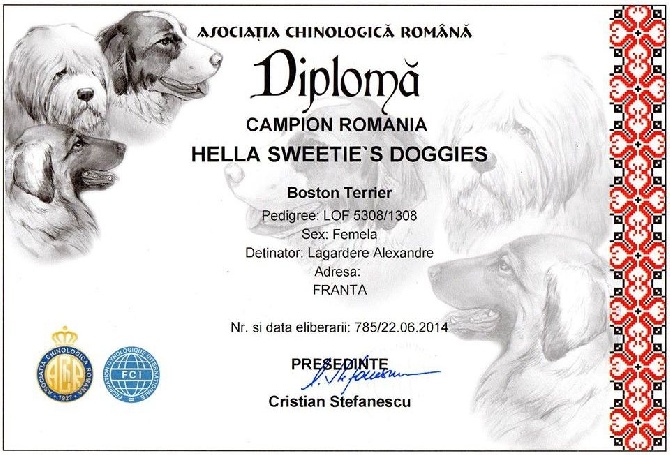 Sweeties Doggies - HELLA SWEETIES DOGGIES CHAMPIONE DE ROUMANIE 