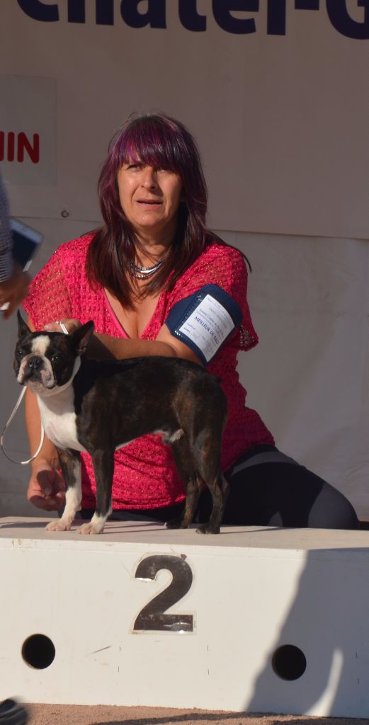 Sweeties Doggies - NDS CHATEL GUYON dimanche 6 Août 2017