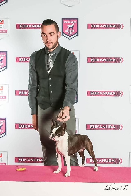 Sweeties Doggies - PARIS DOG SHOW CAC Samedi 7 Janvier 2017